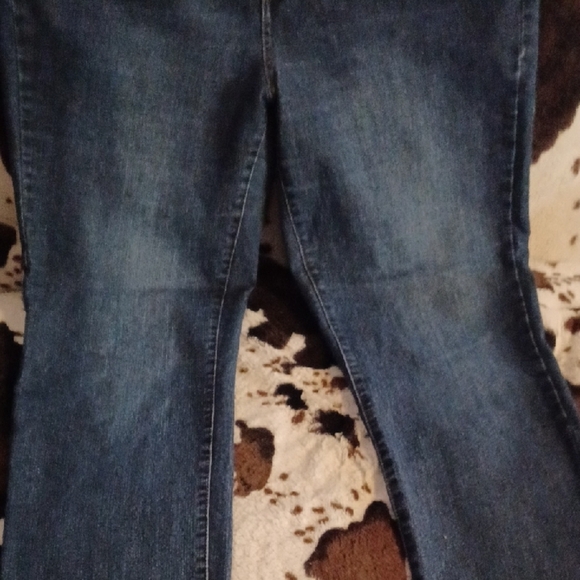 BANDOLINO Women's Blue Jeans, SIZE 16W. - Picture 3 of 10
